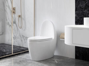 Bồn cầu GUKA G8867