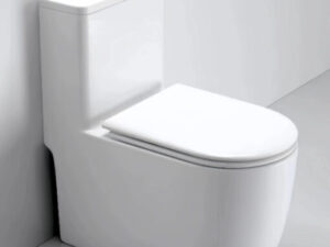 Bồn cầu GUKA GB2208