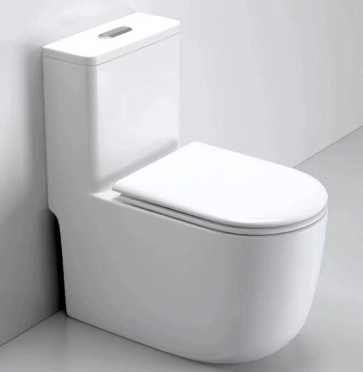 z5476979521744-e350d0c5483fe6b3fdedf7a5424fa3d2-510x522