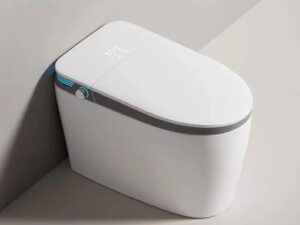 Bồn cầu thông minh GUKA GK201G