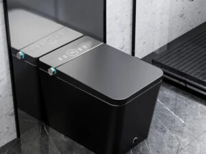 Bồn cầu GUKA G16