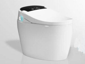 Bồn cầu thông minh GUKA GK963