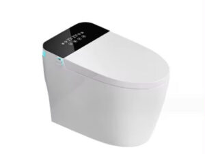 Bồn cầu thông minh GUKA GK8862