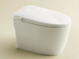 Bồn cầu thông minh GUKA GK6901W