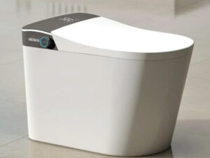 Bồn cầu thông minh GUKA 6944
