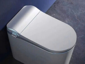 Bồn cầu thông minh GUKA 6943