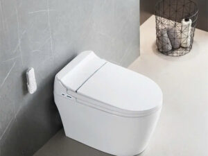 Bồn cầu tự động GUKA 6903WS