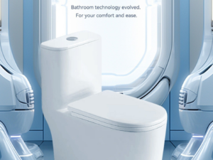 6555 Bệt liền khối 6555